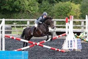 Class 3 -  Fences not above 2'3